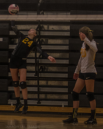 IMG_0220